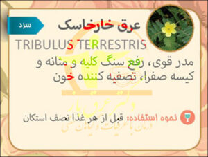عرق-خارخاسک-خواص-1