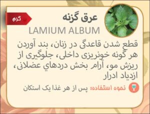 عرق-گزنه
