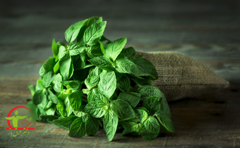 خواص-عرق-نعنا-برای-سلامتی-و-آرامش
