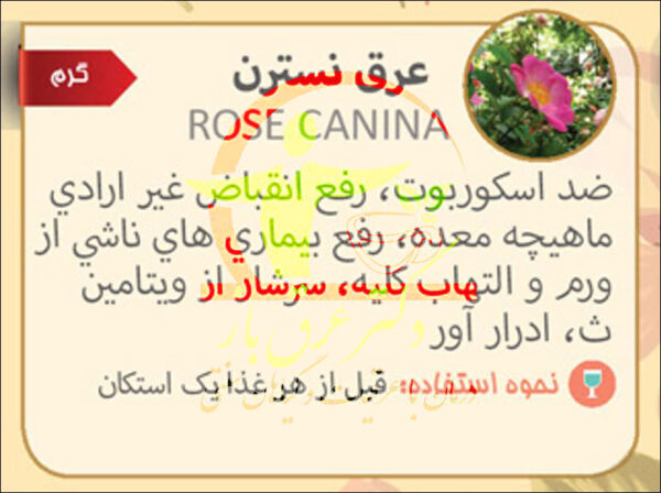 عرق-نسترن-خواص-1
